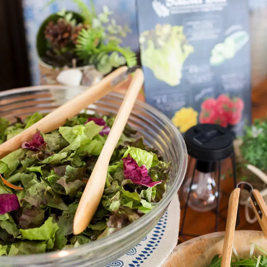 フォトギャラリー