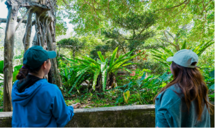 マングローブを眺める2人