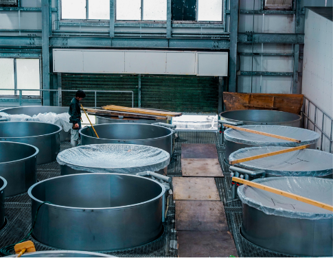 浜千鳥館は奄美大島酒造の蒸留所